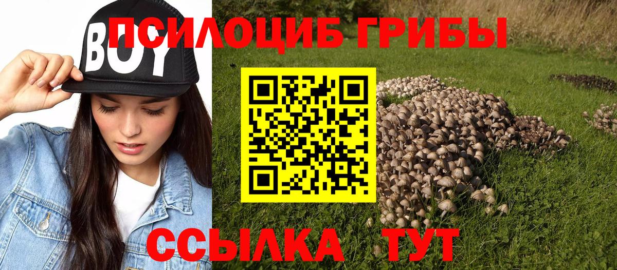 Галлюциногенные грибы MAGIC MUSHROOMS  Вход с VPN  Псилоцибиновые грибы GOLDEN TEACHER  Ессентуки 